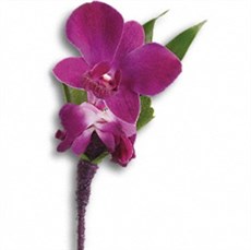 Wedding-Perfect Purple Orchid Boutonniere